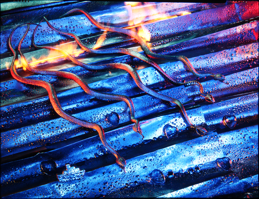 CATASTROPHE THEO - Miklos Legrady