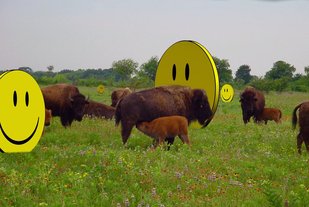 09