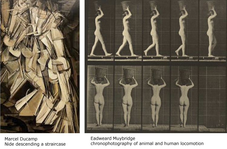 Duchamp;s Nude and Muybrudge Locomotion
